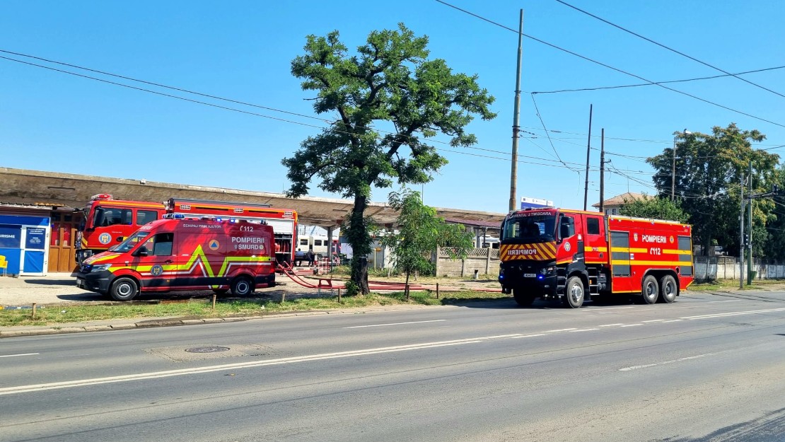 Two red fire trucks parked along a sunny street, with hoses laid out near a tree.
