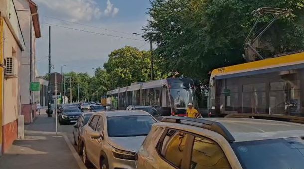 Street scene with two trams and several cars in a city, trees in the background, sunny day.